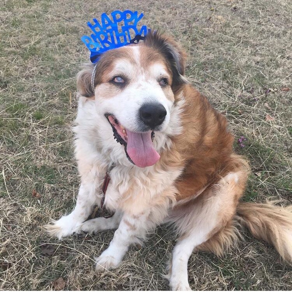 Meet your Posher, Belinda